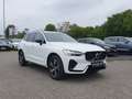 Volvo XC60 XC60 Recharge T8 R-Design LONG RANGE B&W|AHK|LED Weiß - thumbnail 7