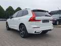 Volvo XC60 XC60 Recharge T8 R-Design LONG RANGE B&W|AHK|LED Weiß - thumbnail 4