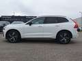 Volvo XC60 XC60 Recharge T8 R-Design LONG RANGE B&W|AHK|LED Weiß - thumbnail 3
