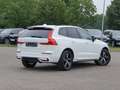 Volvo XC60 XC60 Recharge T8 R-Design LONG RANGE B&W|AHK|LED Weiß - thumbnail 2