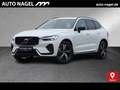 Volvo XC60 XC60 Recharge T8 R-Design LONG RANGE B&W|AHK|LED Weiß - thumbnail 1