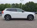 Volvo XC60 XC60 Recharge T8 R-Design LONG RANGE B&W|AHK|LED Weiß - thumbnail 6