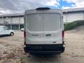 Ford Transit Kasten 350 L3 Trend Weiß - thumbnail 4