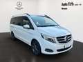 Mercedes-Benz V 250 V 250 d Automatic 4Matic Premium Long Wit - thumbnail 2