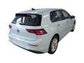 Volkswagen Golf VIII 1.5 TSI LIFE 5JG+LED+NAVI+AHK+PANO+ACC Blau - thumbnail 3