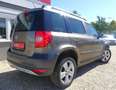 Skoda Yeti Plus Edit/Bi-Xenon/Alcant/AHK/Temp/Panorama Braun - thumbnail 7