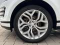 Land Rover Range Rover Evoque D165 AWD R-Dynamic SE ACC Weiß - thumbnail 9