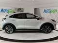 Ford Puma Titanium Weiß - thumbnail 5