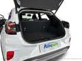 Ford Puma Titanium Weiß - thumbnail 10
