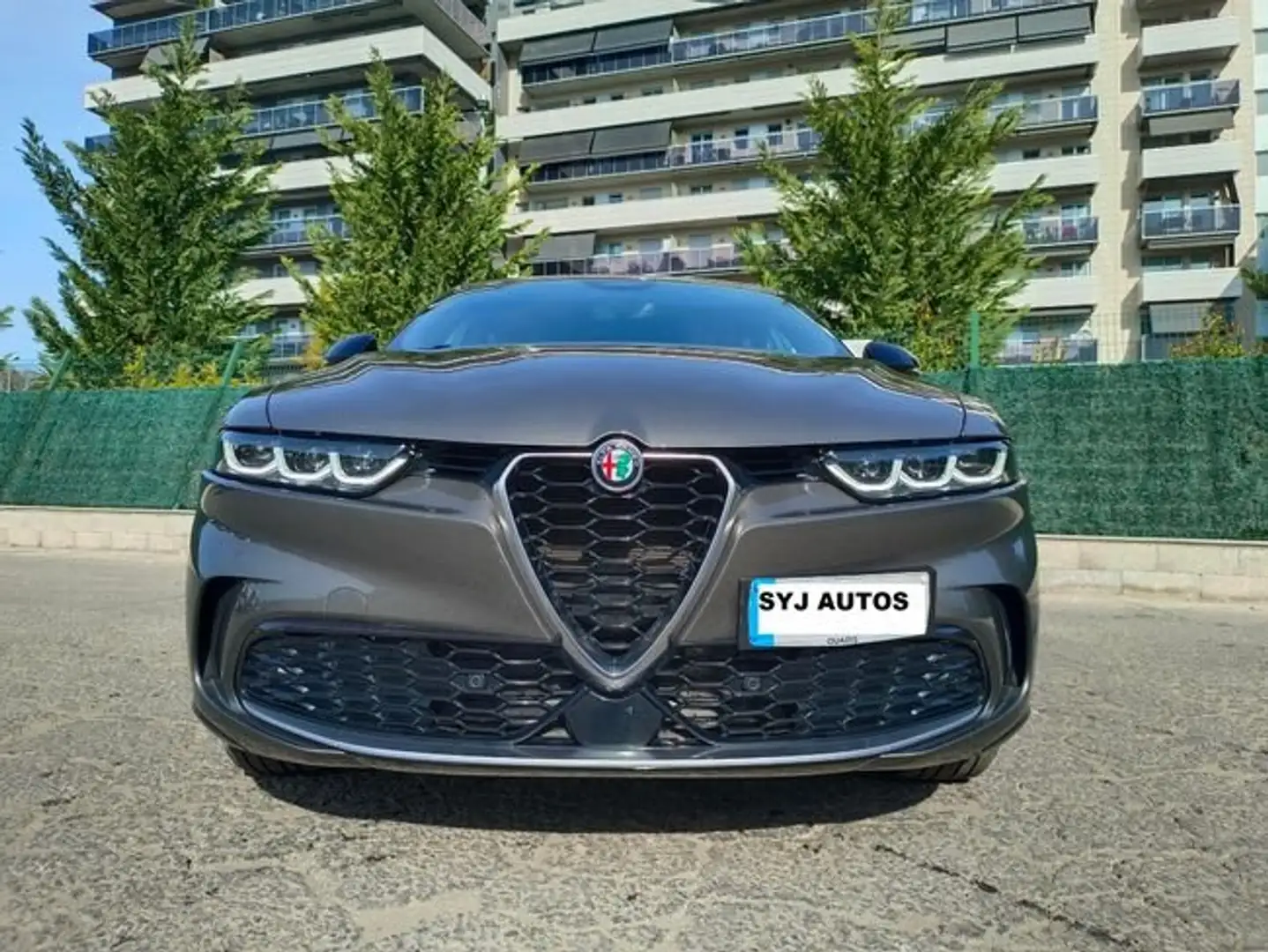 Alfa Romeo Tonale 1.6 DS Ti FWD Gris - 2