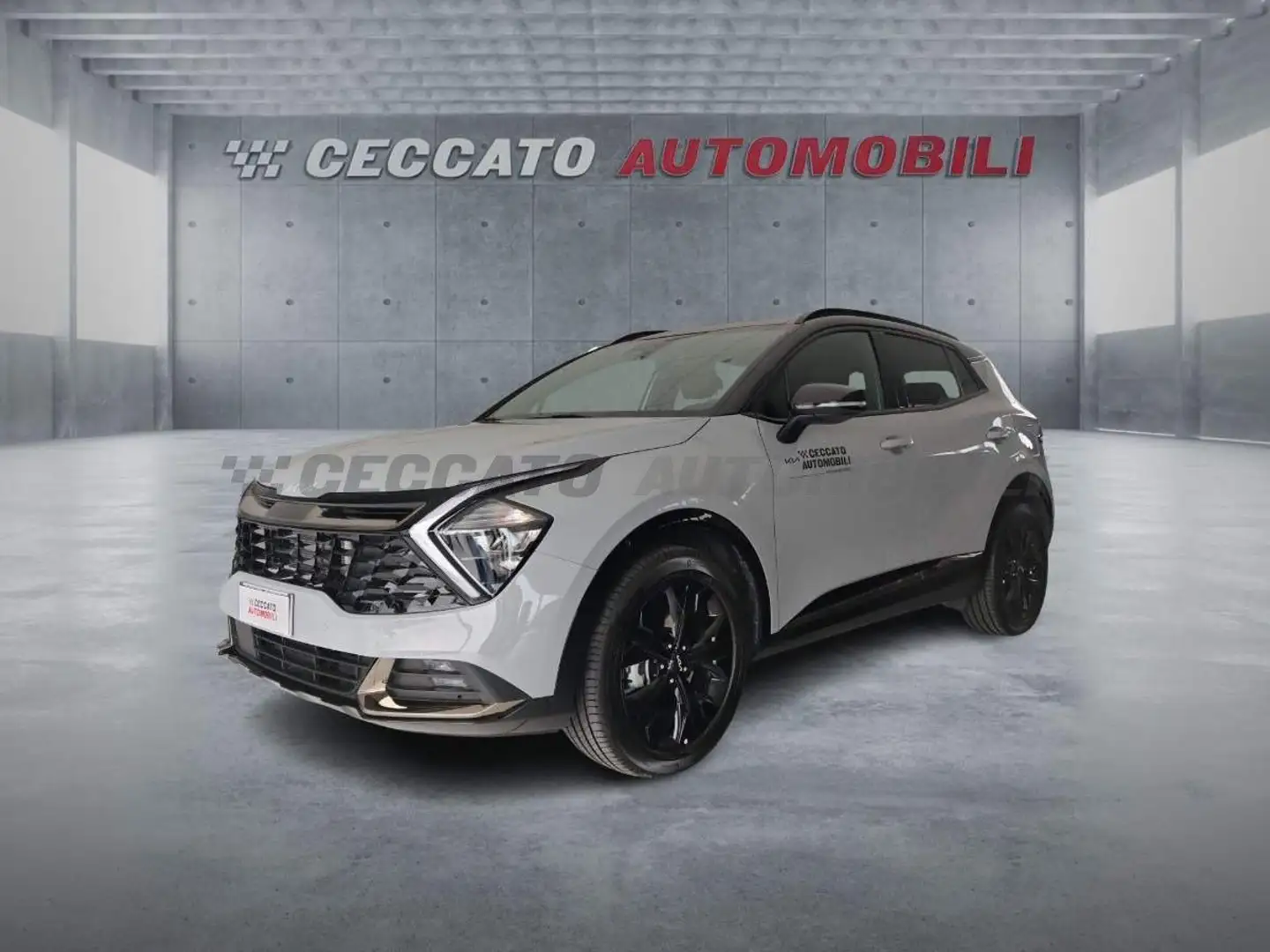 Kia Sportage Sportage 1.6 tgdi hev Special Edition Sunroof Pac Grigio - 1