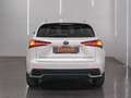 Lexus NX 300 300h Premium 2WD Blanc - thumbnail 5