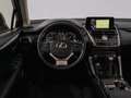 Lexus NX 300 300h Premium 2WD Blanc - thumbnail 28