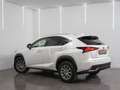 Lexus NX 300 300h Premium 2WD Blanc - thumbnail 6