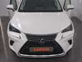 Lexus NX 300 300h Premium 2WD Blanc - thumbnail 9