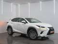Lexus NX 300 300h Premium 2WD Blanc - thumbnail 1