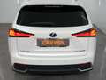 Lexus NX 300 300h Premium 2WD Blanc - thumbnail 12
