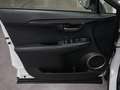 Lexus NX 300 300h Premium 2WD Blanc - thumbnail 22