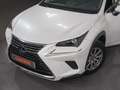 Lexus NX 300 300h Premium 2WD Blanc - thumbnail 8