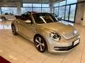Volkswagen Maggiolino Cabrio 1.4 TSI DSG Exclusive PREZZO REALE !! - thumbnail 4