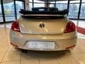 Volkswagen Maggiolino Cabrio 1.4 TSI DSG Exclusive PREZZO REALE !! - thumbnail 6