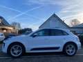 Porsche Macan 2.0 SPORTDESIGN/KEYLESS/NL-AUTO/CAMERA/BLINDSPOT Weiß - thumbnail 4