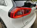 Kia Niro Spirit 1.6 Hybrid +AUTOMATIK+NAVI+KAMERA+ Weiß - thumbnail 30