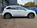 Kia Niro Spirit 1.6 Hybrid +AUTOMATIK+NAVI+KAMERA+ Weiß - thumbnail 6