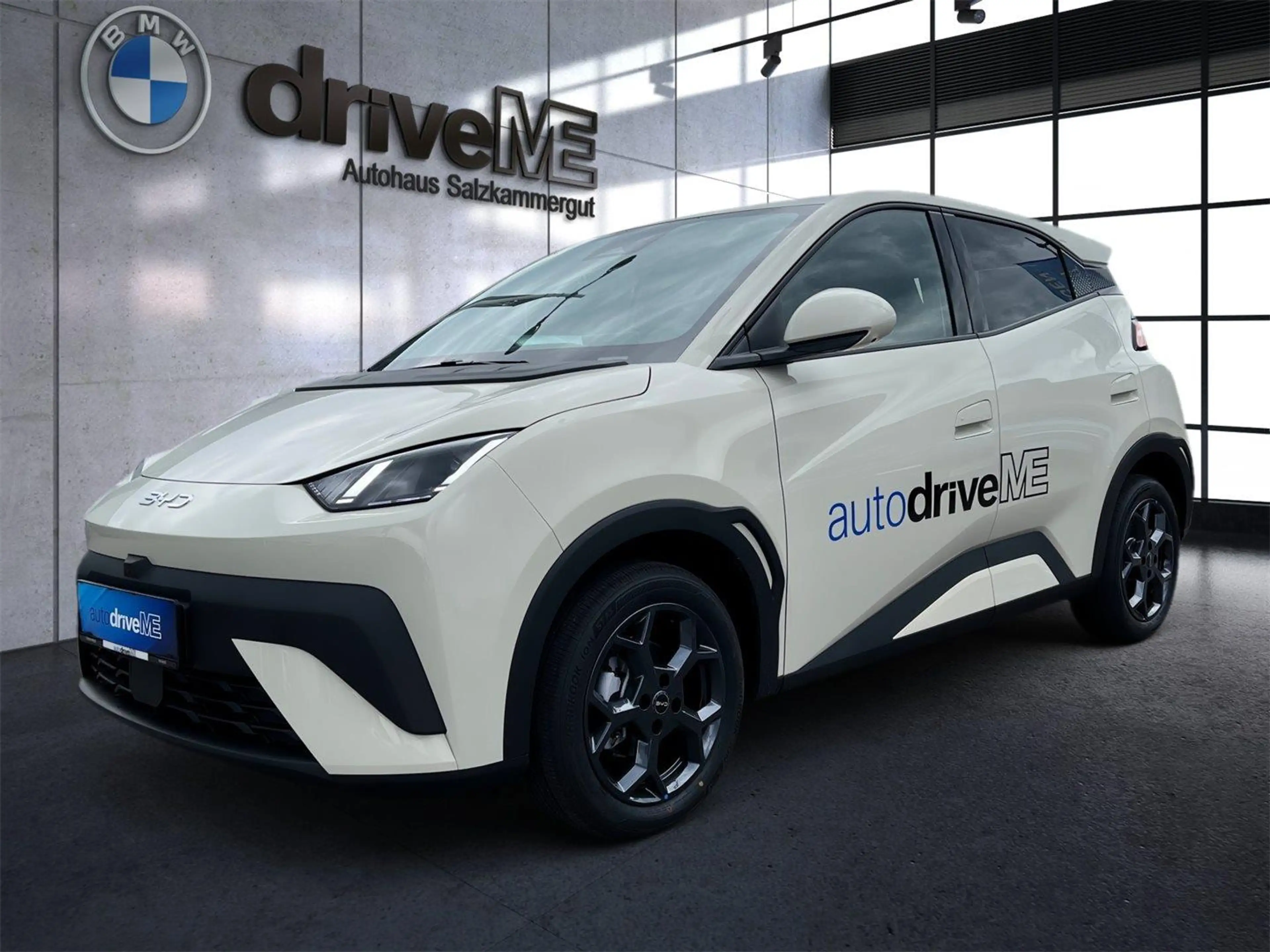 BYD Dolphin Surf Boost — photo 2