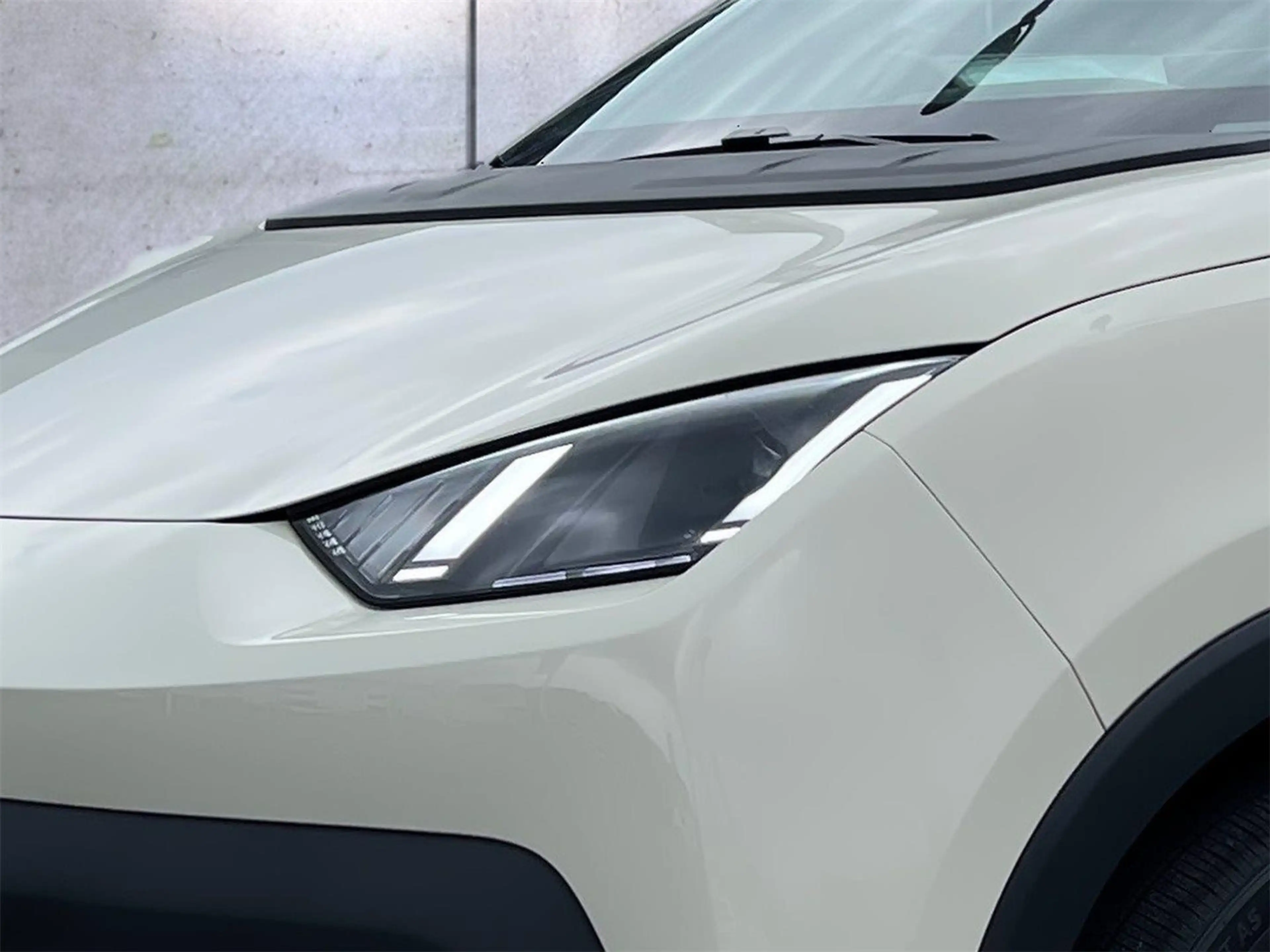 BYD Dolphin Surf Boost — photo 3