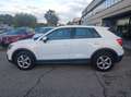 Audi Q2 30 1.0 tfsi Business my19 Blanc - thumbnail 4