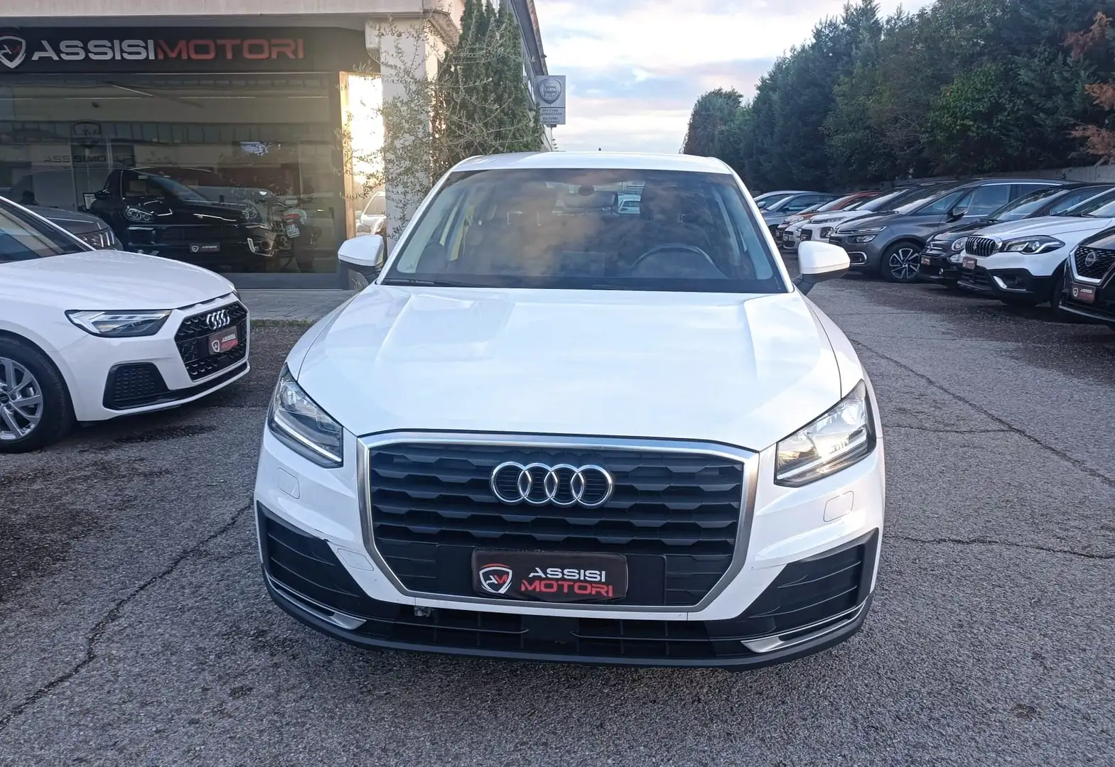 Audi Q2 30 1.0 tfsi Business my19 Blanc - 2