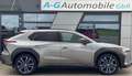 Toyota bZ4X 4x4AWD-Matrix-LED-Technik-Paket-360°-Kamera Gris - thumbnail 8