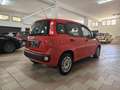 Fiat Panda Panda 1.3 mjt 16v EASY s Rood - thumbnail 7