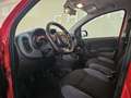 Fiat Panda Panda 1.3 mjt 16v EASY s Rood - thumbnail 15