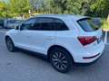 Audi Q5 2.0 TDI 170 CV quattro *Automatik*Cerchi* Bianco - thumbnail 11