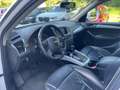 Audi Q5 2.0 TDI 170 CV quattro *Automatik*Cerchi* Bianco - thumbnail 13