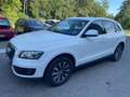 Audi Q5 2.0 TDI 170 CV quattro *Automatik*Cerchi* Bianco - thumbnail 3