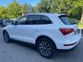Audi Q5 2.0 TDI 170 CV quattro *Automatik*Cerchi* Bianco - thumbnail 10