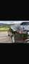 Land Rover Discovery 5 3,0 SDV6 HSE Aut. - thumbnail 4