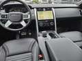 Land Rover Discovery D250 Dynamic SE AWD Auto. 25MY Gri - thumbnail 4