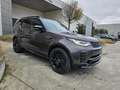 Land Rover Discovery D250 Dynamic SE AWD Auto. 25MY Gri - thumbnail 11