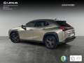 Lexus UX 250h Business 2WD Szürke - thumbnail 2