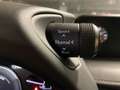 Lexus UX 250h Business 2WD Gris - thumbnail 21