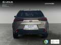 Lexus UX 250h Business 2WD Grigio - thumbnail 4