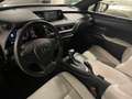 Lexus UX 250h Business 2WD Gris - thumbnail 19