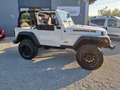 Jeep Wrangler Wrangler Hard Top 4.0 Sport Weiß - thumbnail 6