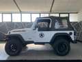 Jeep Wrangler Wrangler Hard Top 4.0 Sport Weiß - thumbnail 18