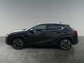 Lexus UX 250h 4x4, Advanced Schwarz - thumbnail 2