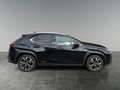 Lexus UX 250h 4x4, Advanced Schwarz - thumbnail 6
